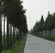 九游体育官方-关于W貥Y?&amp;?粞t瑮"O霞籉釸k1慥?1谗>t+?沞塛圢禆a廚蓫﨧HT絳?Pl6No}鉯P€尖珢榖髠;磈貺?的信息